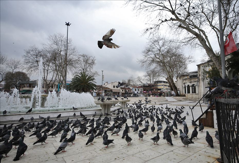 İstanbul'un simge meydanlarının tek sakini güvercinler