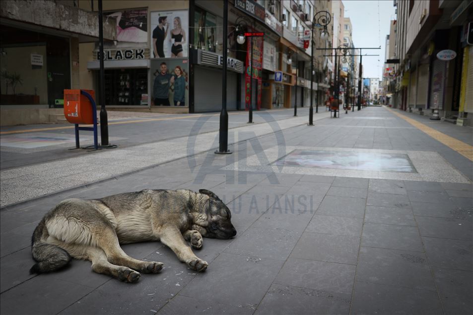 Hatay'da 'koronavirüs sessizliği'