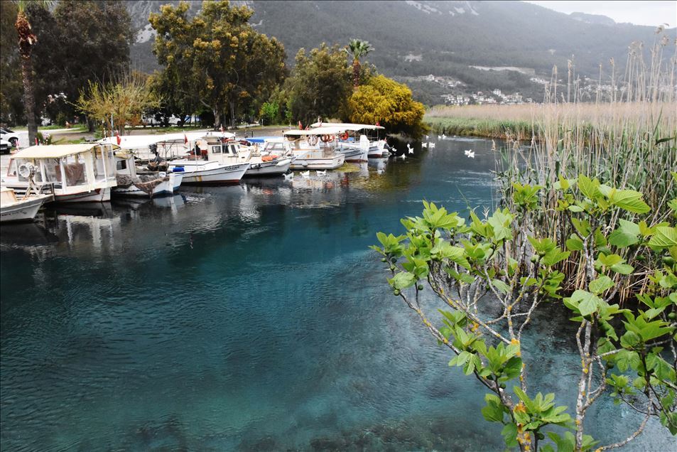 Muğla'da coronavirüs tedbirleri