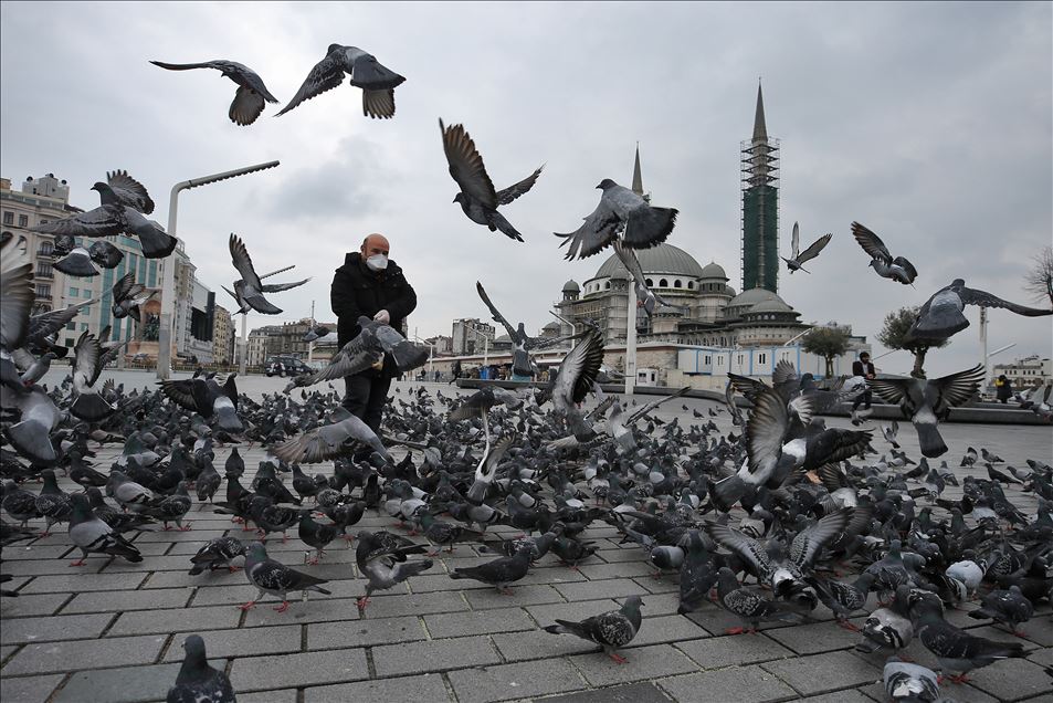 İstanbul'un simge meydanlarının tek sakini güvercinler