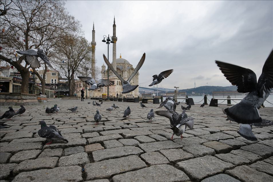 İstanbul'un simge meydanlarının tek sakini güvercinler