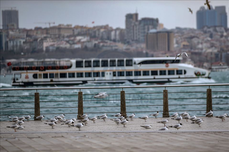 İstanbul sahilleri sessiz