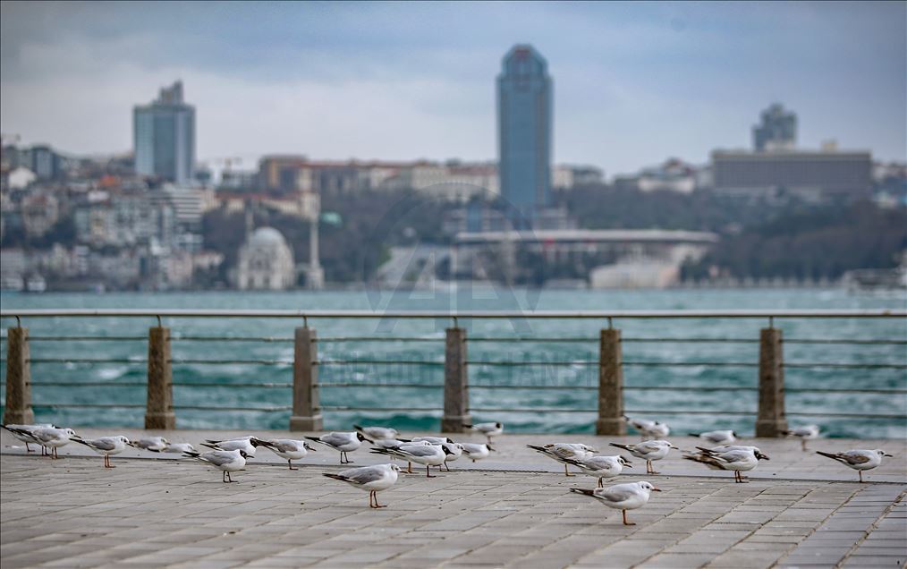 İstanbul sahilleri sessiz