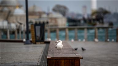İstanbul sahilleri sessiz