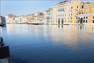 Cuarentena ayuda a que los canales de Venecia se purifiquen