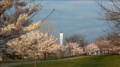New Jersey'de koronavirüs tedbirleri devam ediyor