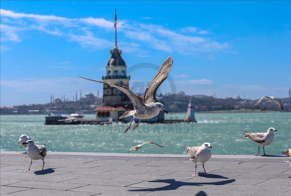 İstanbul sahilleri sessiz
