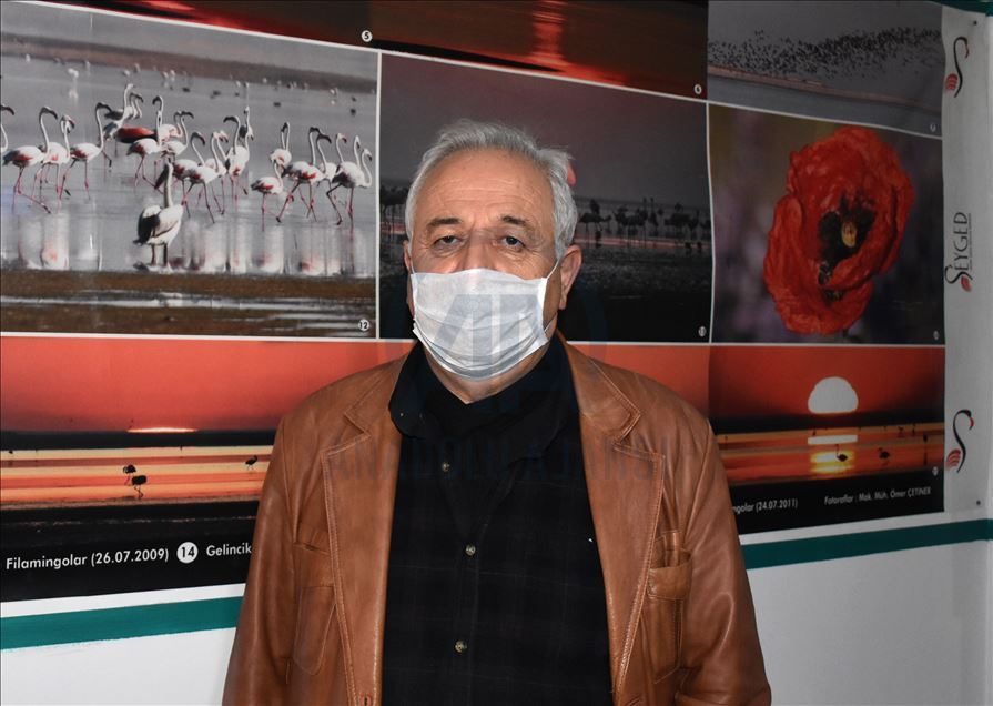 مصائب قوم عند قوم فوائد.. تدابير كورونا تعود بالخير على الطيور المهاجرة