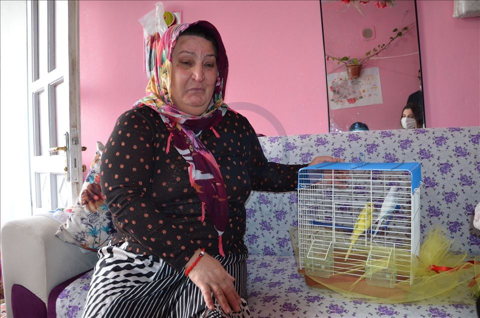 Batman Valisi Şahin, yalnız yaşayan kadının "muhabbet kuşu" talebini yerine getirdi