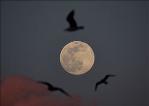 Суперлуние: фотографии из разных уголков мира