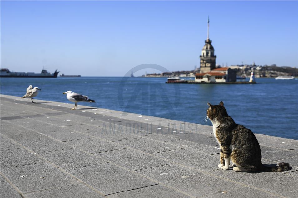İstanbul'da "koronavirüs sessizliği"