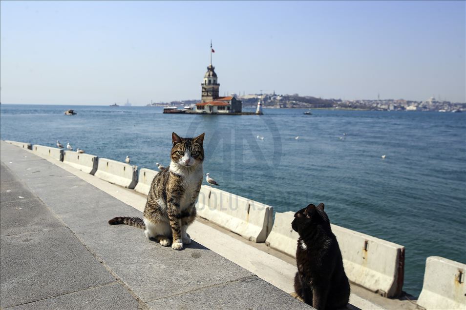 İstanbul'da "koronavirüs sessizliği"
