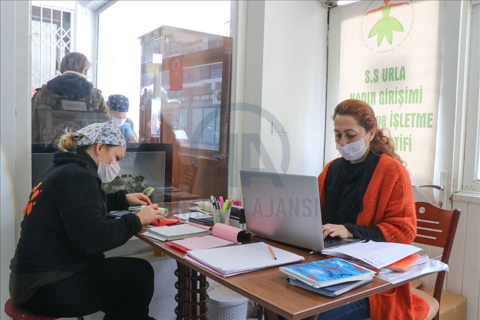 Urlalı kadınlar, sakız enginarını bu yıl sosyal medyadan satıyor