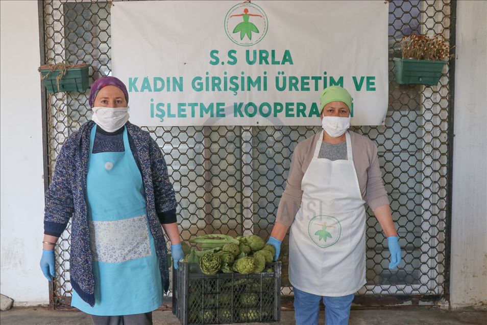 Urlalı kadınlar, sakız enginarını bu yıl sosyal medyadan satıyor