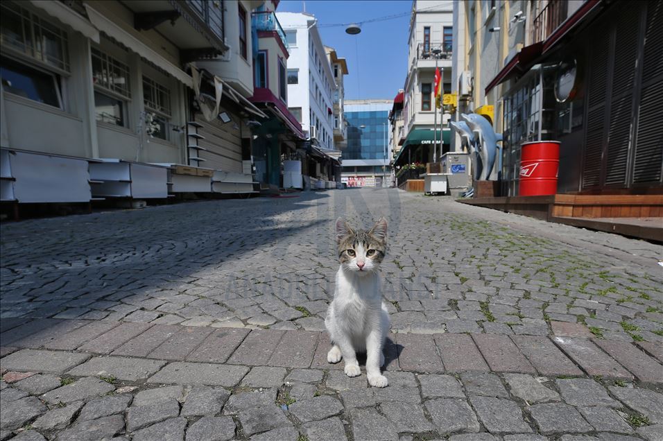 İstanbul'da "koronavirüs sessizliği"