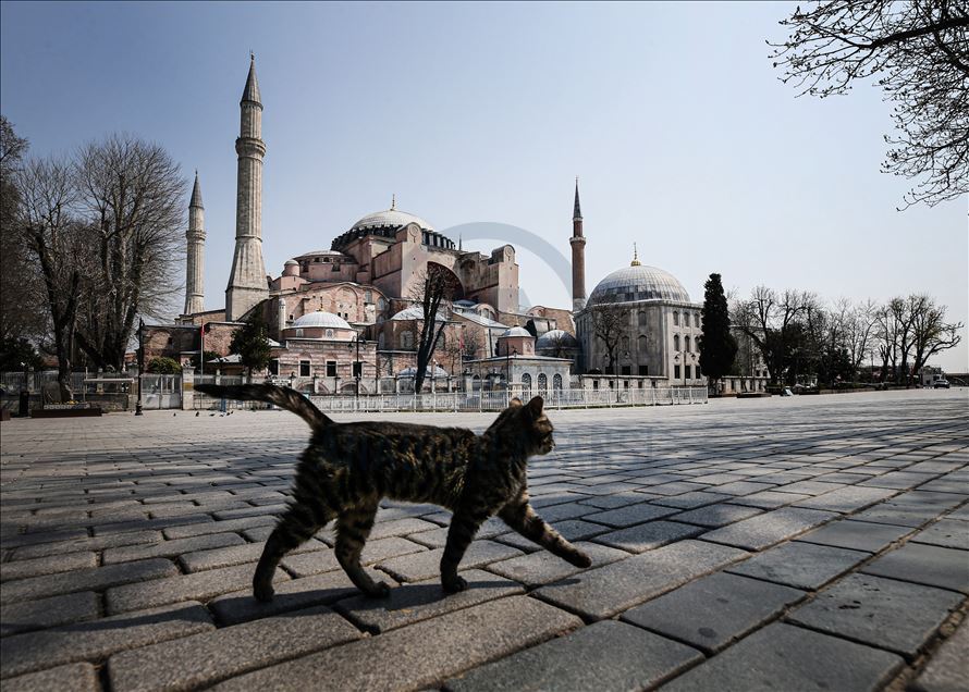 خیابان‌های آرام استانبول پس از اعلام ممنوعیت رفت‌وآمد
