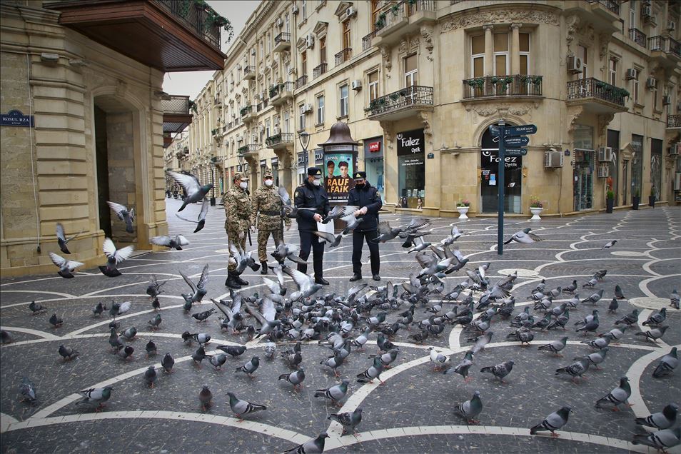 Pigeons at the squares of Baku