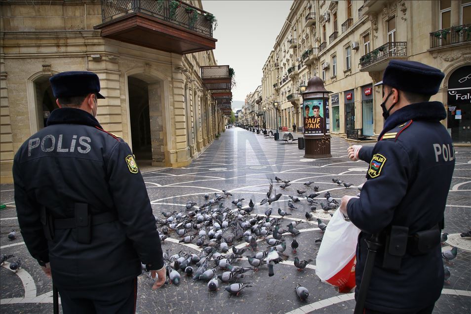 Pigeons at the squares of Baku