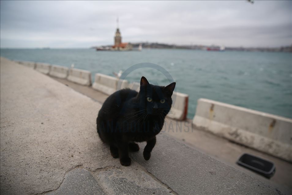 İstanbul'da "koronavirüs sessizliği"