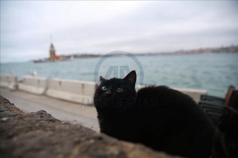 İstanbul'da "koronavirüs sessizliği"