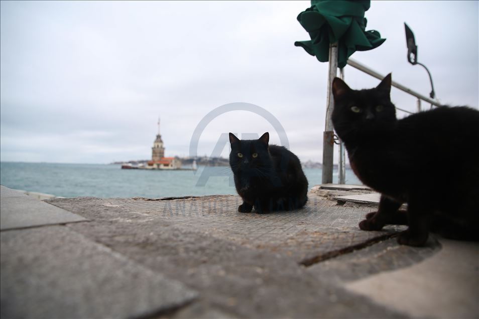 İstanbul'da "koronavirüs sessizliği"