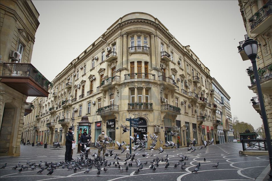 Pigeons at the squares of Baku