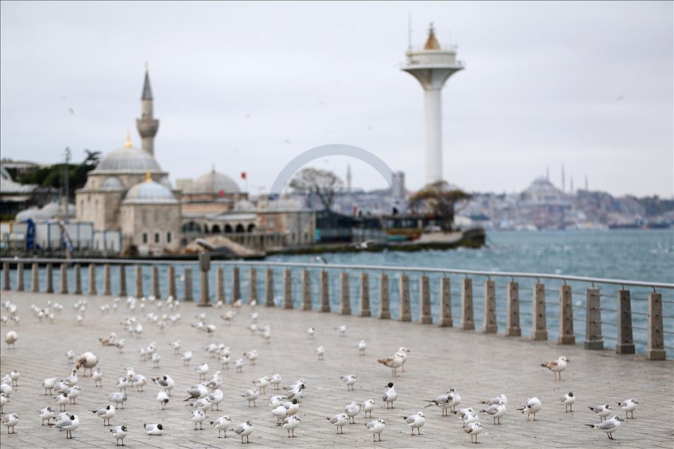 İstanbul'da "koronavirüs sessizliği"