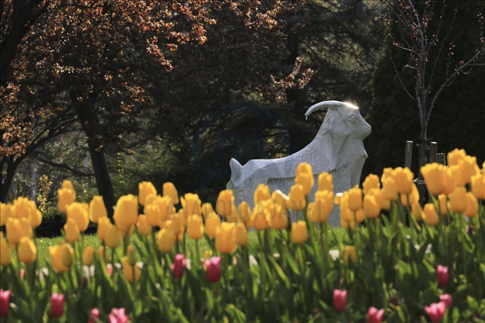 Ankara'da ilkbahar
