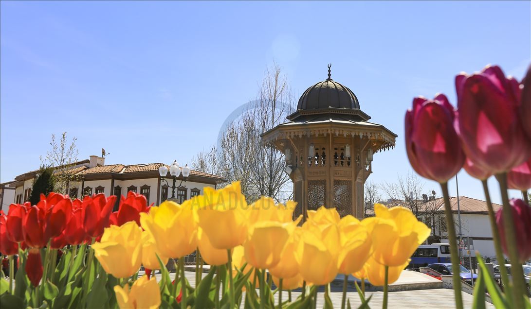 Ankara'da ilkbahar
