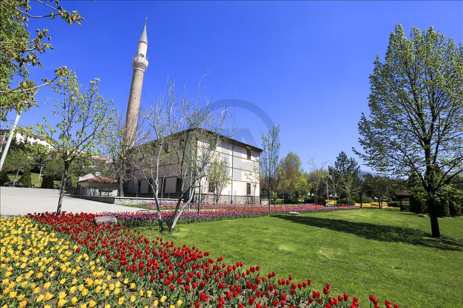 Ankara'da ilkbahar