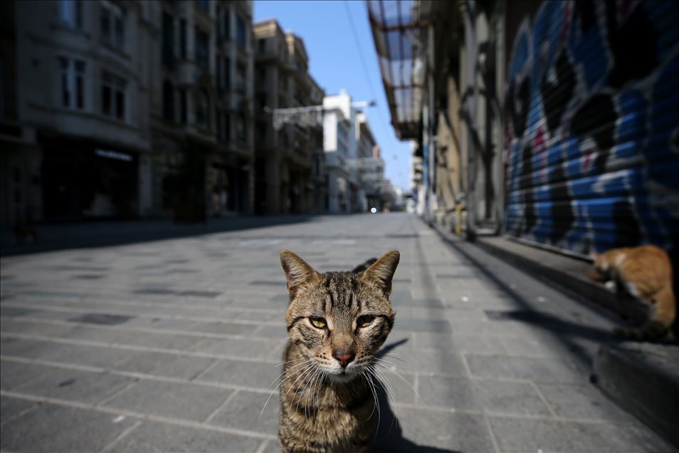 İstanbul'da "koronavirüs sessizliği"