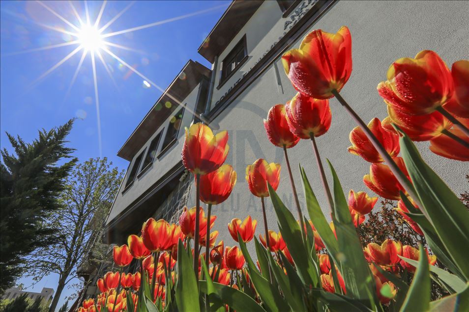 Ankara'da ilkbahar