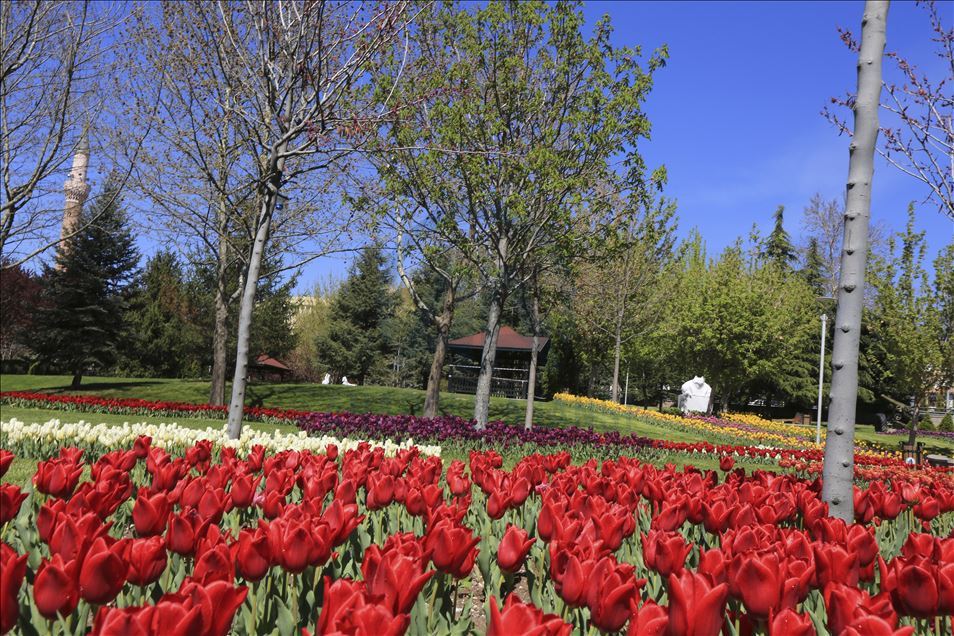 Ankara'da ilkbahar