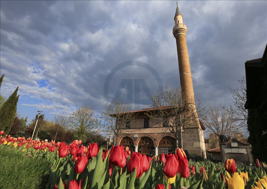 Ankara'da ilkbahar