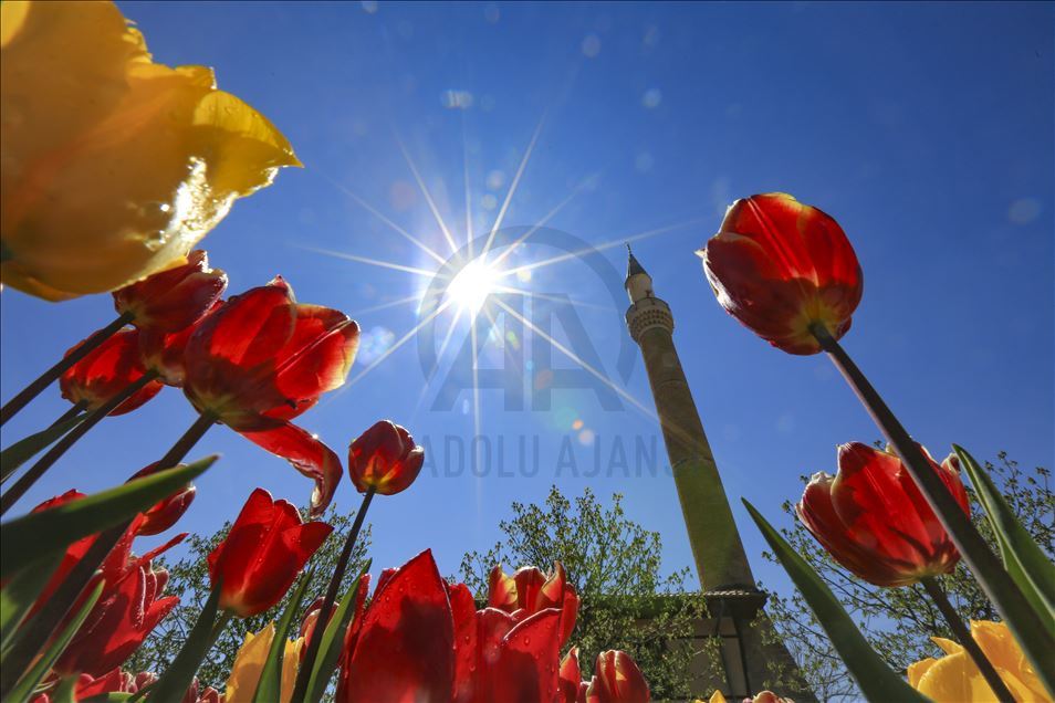 Ankara'da ilkbahar