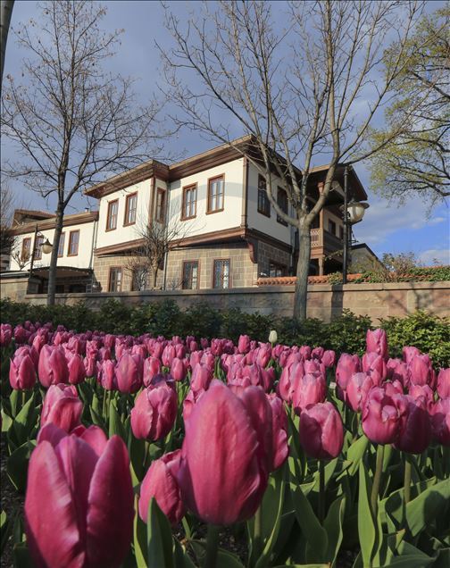 Ankara'da ilkbahar