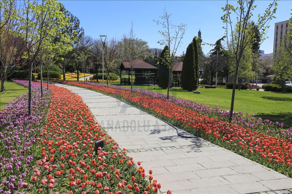 Ankara'da ilkbahar