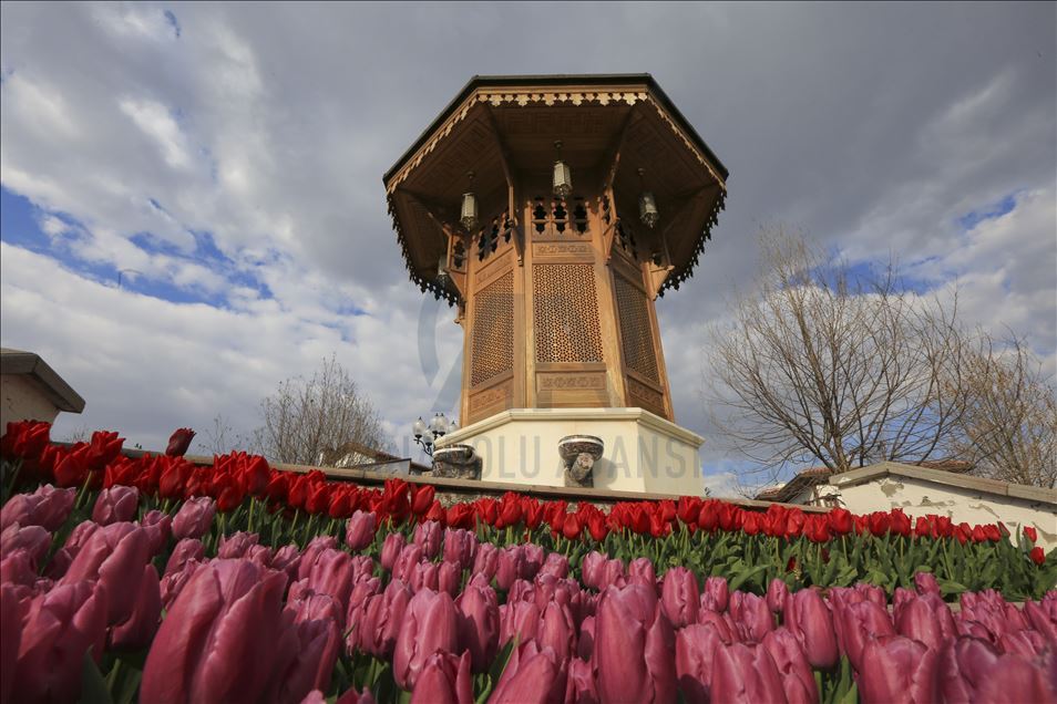 Ankara'da ilkbahar
