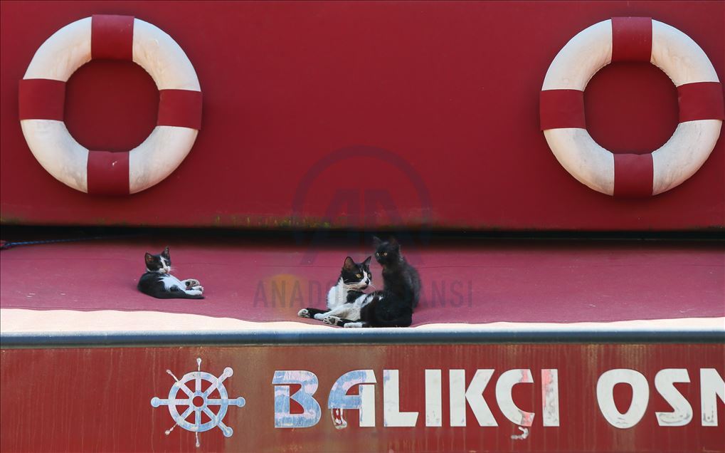 İzmir’de sokağa çıkma kısıtlamasının başlamasıyla cadde ve sokaklar boş kaldı