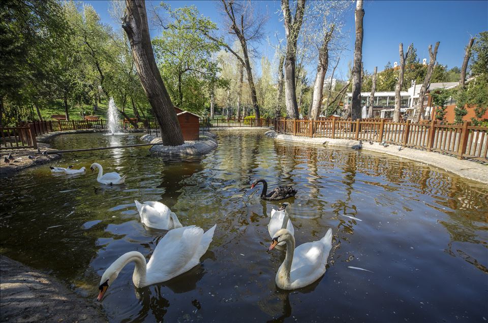 Ankara'da sokağa çıkma kısıtlaması