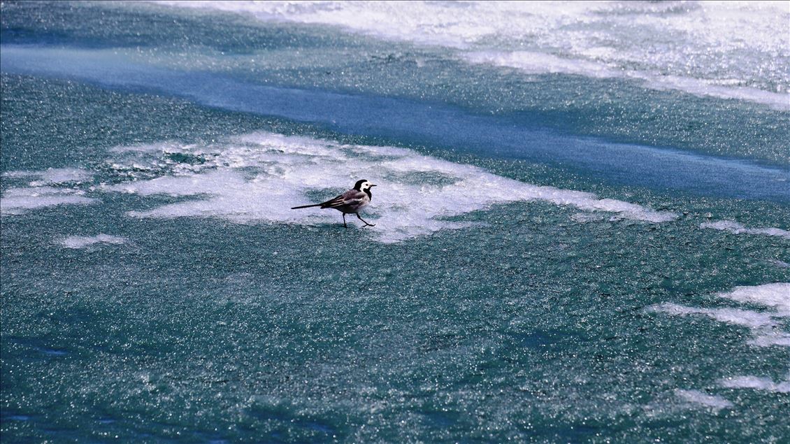 Ice covered surface of Lake Balik started to melt