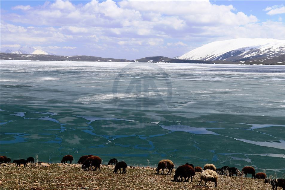 Ice covered surface of Lake Balik started to melt