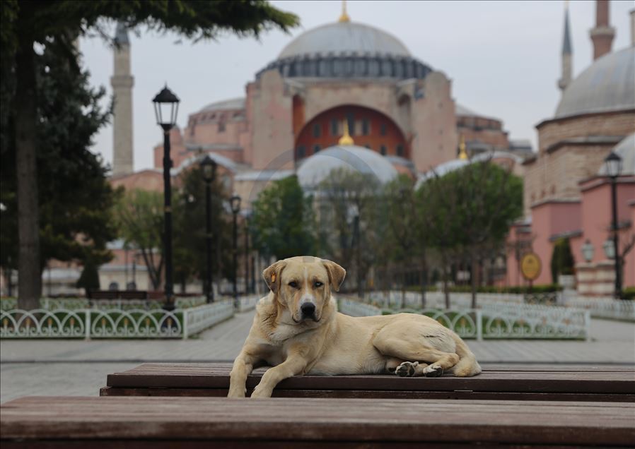 İstanbul'da "koronavirüs sessizliği"