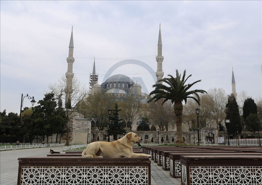 İstanbul'da "koronavirüs sessizliği"