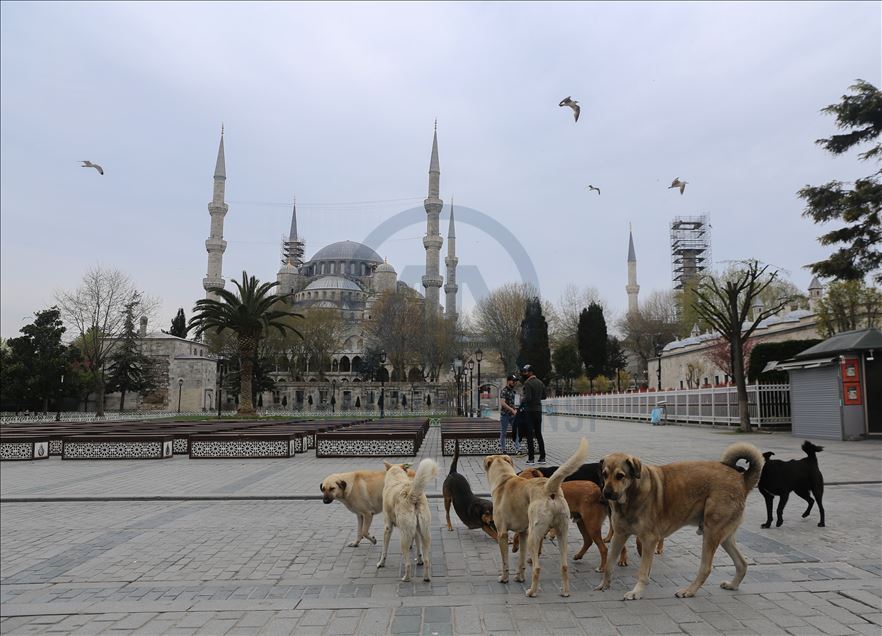 İstanbul'da "koronavirüs sessizliği"