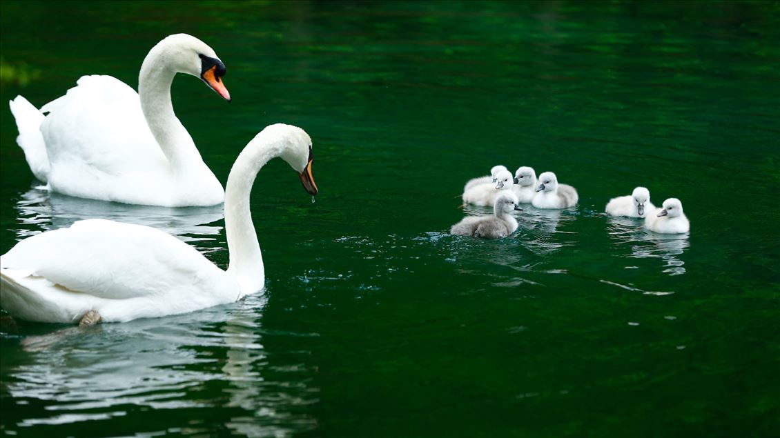 Spring in Bosnia and Herzegovina