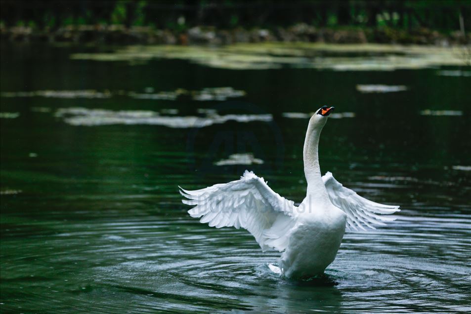 Spring in Bosnia and Herzegovina