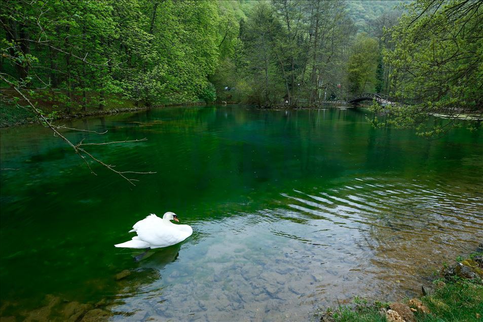 Spring in Bosnia and Herzegovina