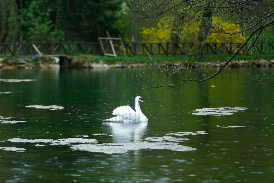 Spring in Bosnia and Herzegovina