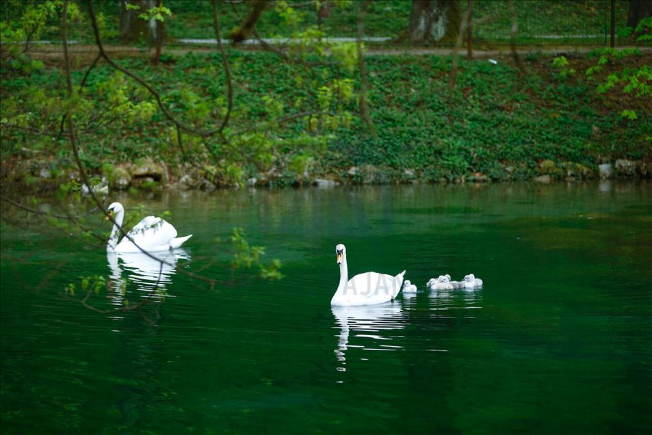 Spring in Bosnia and Herzegovina